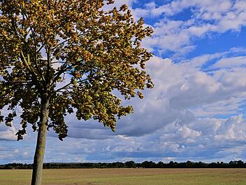 Sonniger September