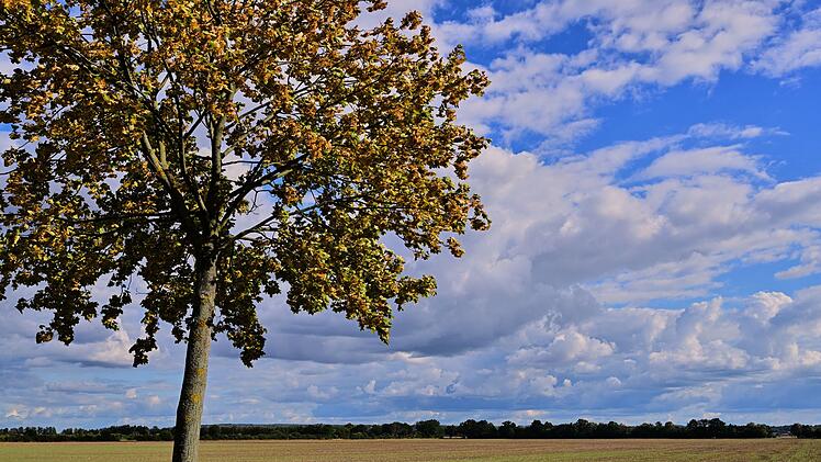 Sonniger September