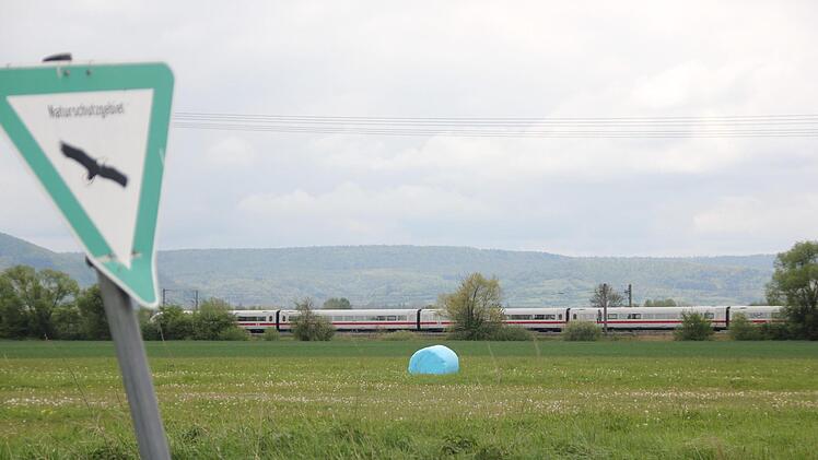 Ein ICE auf seinem Weg durch den Landkreis Haßberge. Andreas Lösch