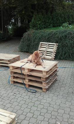 Foto: Michaela Zehner