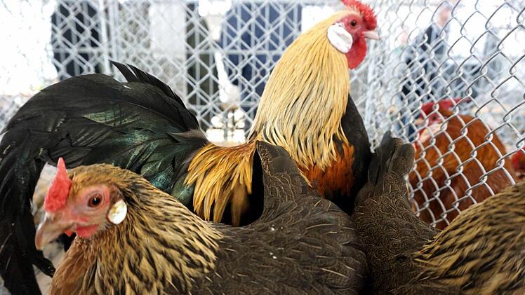 Foto: Richard Sänger