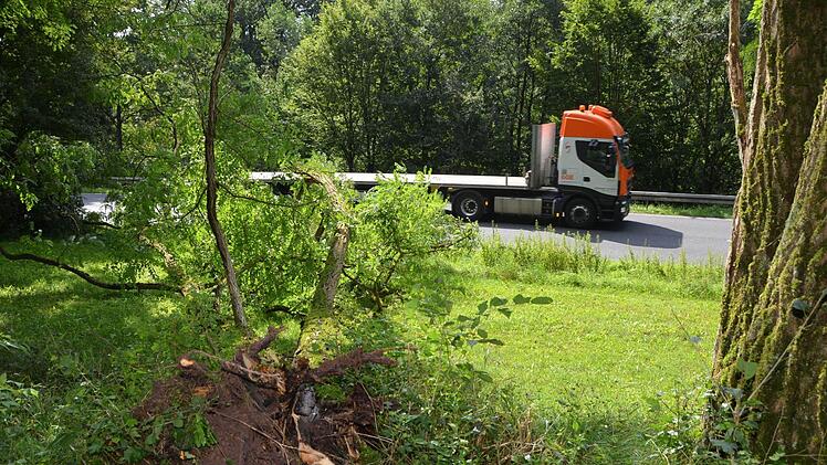 Mit einem lauten Knall war der Baum auf die Straße gestürzt. Die Zweige waren schnell weggeräumt.  Foto: Peter Rauch
