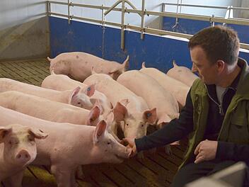 Ralf Thamm mästet Schweine. Eine Branche, die derzeit schwer unter niedrigen Erzeugerpreisen zu leiden hat. Foto: Rainer Lutz