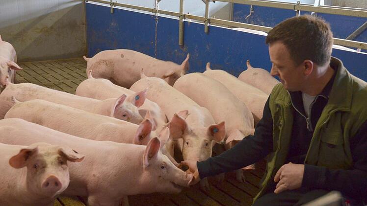 Ralf Thamm mästet Schweine. Eine Branche, die derzeit schwer unter niedrigen Erzeugerpreisen zu leiden hat. Foto: Rainer Lutz