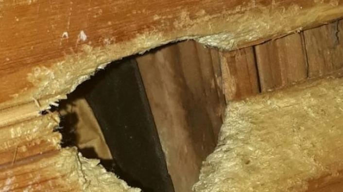 Ein Loch mit Bissspuren wei&szlig;t auf eine Nagerplage hin