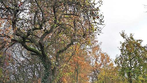 Seminarteilnehmer Kilian Schmitt bei einem Au&szlig;eneinsatz in Buchau