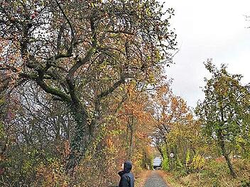 Seminarteilnehmer Kilian Schmitt bei einem Außeneinsatz in Buchau