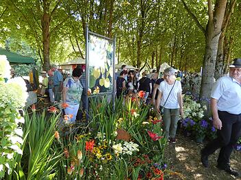Die Besucher konnten sich in der Baille-Maille-Allee  viele Anregungen für den eigenen Garten holen. Foto: Werner Reißaus