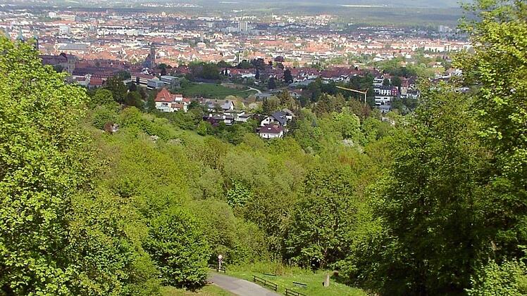 Ausblick über die die  2003 angelegten Sichtschneise Richtung Bamberger Altstadt  Gerdes