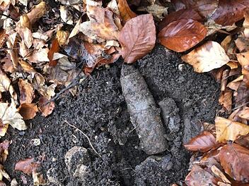 Im Landkreis Bamberg wurden mehrere Granaten aus dem zweiten Weltkrieg entdeckt. Foto: privat