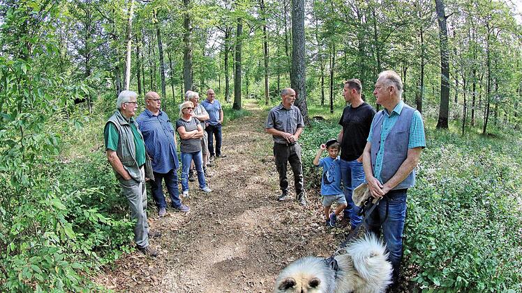 Der städtische Wald ist angesichts des Klimawandels in einem sehr schlechten Zustand. Das machte bei der Waldbegehung, zu der der Stadtrat und Bürger eingeladen waren. Dieter Britz
