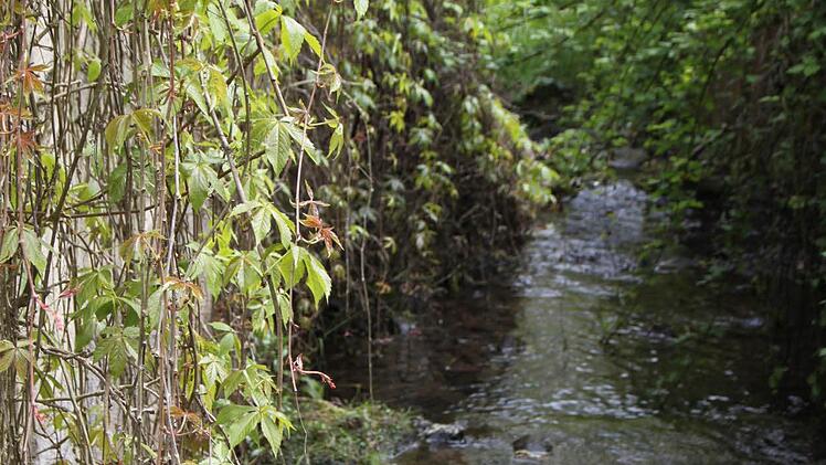 Hinter dem Häuschen fließt die Leimbach. Sie entspringt in Volkers und mündet in Bad Brückenau in die Sinn.