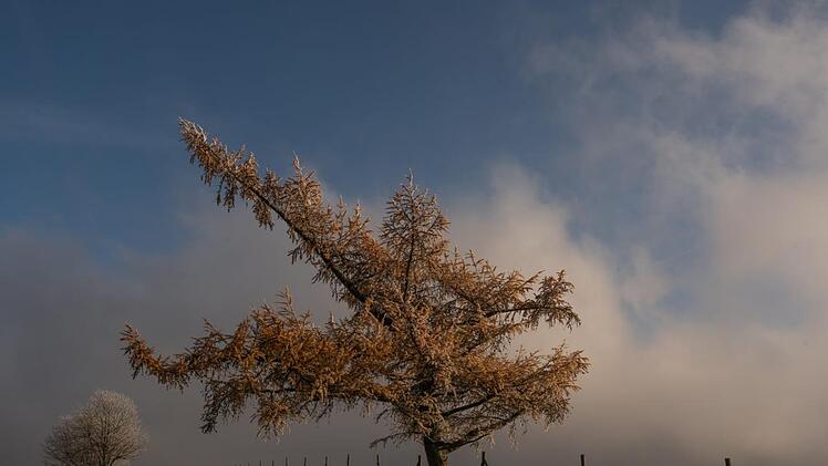 Auch ohne Schnee echte Hingucker: die Naturschönheiten der Rhön.  Foto: Sonja Demmler