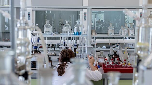 Wissenschaftler untersuchen das Zusammenspiel von Tumorzellen und Nervensystem.