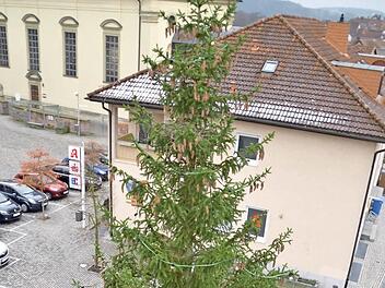 Diese Fichte - aus der Vogelperspektive fotografiert - steht auf dem Burkardrother Marktplatz. Sie ist der größte Weihnachtsbaum im Bereich des Marktes. Foto: Kathrin Kupka-Hahn