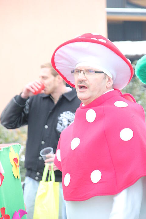 Faschingsumzug in Oberhaid