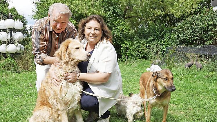 Herbert und Marion Hausmann mit (von links) Pensionshund Sam und den beiden eigenen Hunden Fabia und Raja. Fotos: Arkadius Guzy