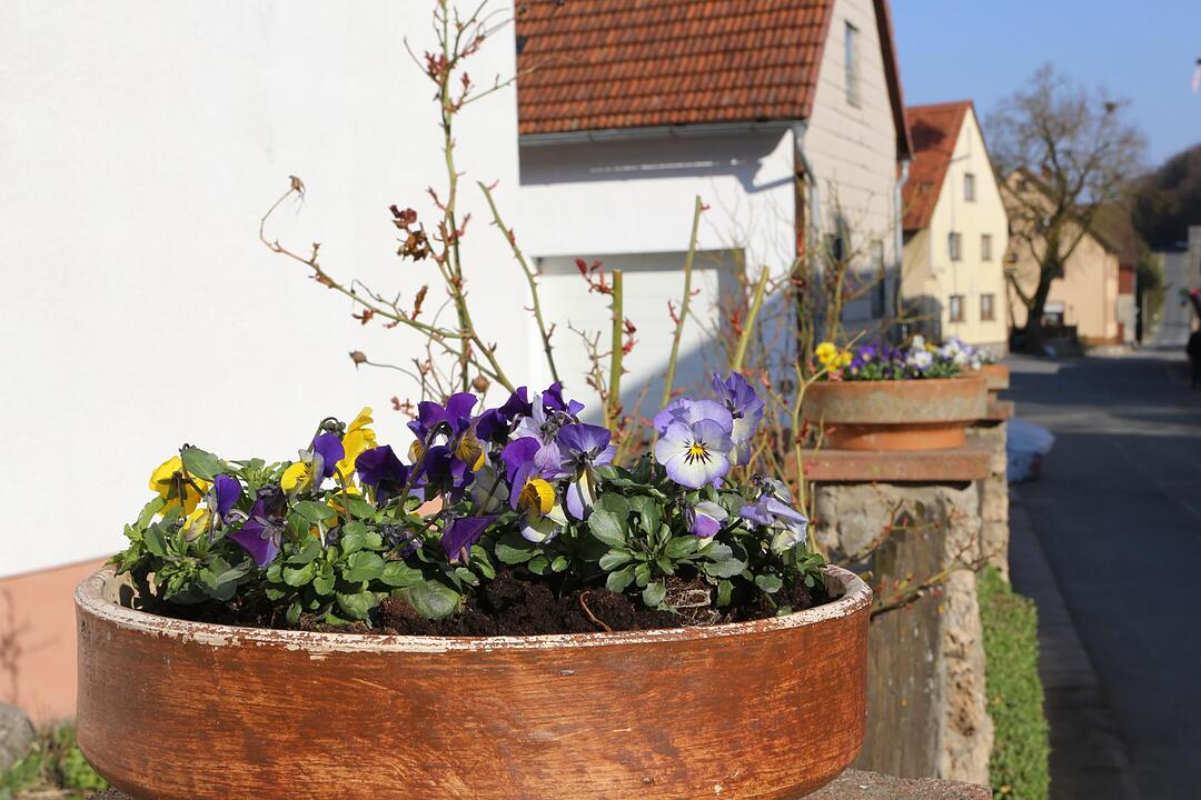 SoS Oberfellendorf im Lkr. Forchheim; Foto: Barbara Herbst