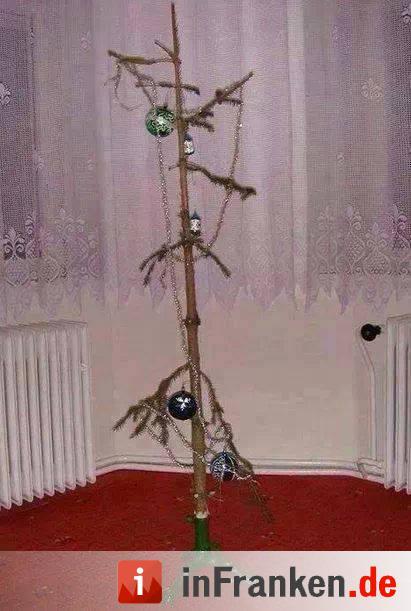 Weihnachten in Franken: Die Christbäume unserer Leser