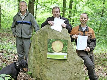 Das Gütesiegel vor der Brust, den vorbildlichen Wald im Hintergrund: Forstamtsrat Wolfgang Gnannt, Holzrücker Georg Ebert und Holzernter und Pflanzer Thomas Birklein (von links). Foto: Ralf Kestel