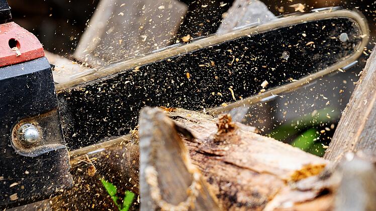 Bamberg: Rodungsarbeiten an Spielplatz in Wei&szlig;enburgstra&szlig;e