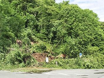 Nach starken Regenfällen gab es im Mai vergangenen Jahres bei Dippach einen massiven Hangrutsch. Bäume und Erde begruben den Maintalradweg und die Straße unter sich. Mit waldbaulichen Mitteln soll solchen Zwischenfällen künftig vorgebeugt werden.  Foto: Sabine Weinbeer
