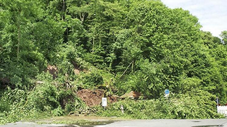 Nach starken Regenfällen gab es im Mai vergangenen Jahres bei Dippach einen massiven Hangrutsch. Bäume und Erde begruben den Maintalradweg und die Straße unter sich. Mit waldbaulichen Mitteln soll solchen Zwischenfällen künftig vorgebeugt werden.  Foto: Sabine Weinbeer