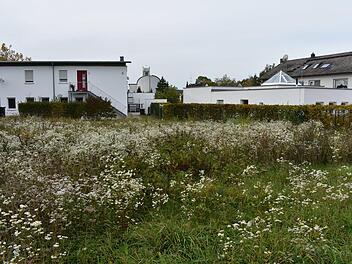 Die Kinderkrippe "Zum guten Hirten" (rechts hinter der Hecke) bekommt hier einen Erweiterungsbau. Foto: Petra Malbrich