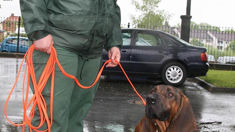 Anja Tittmann ist begeistert, wie gut es gelungen ist, den Jagdtrieb ihres Hannoveraner Schweißhundes "auf Menschen umzulegen". Denn ihr Bertram erschnüffelt alles. Zwei Jahre dauerte die Ausbildung des Personensuchhundes. Foto: Sonja Adam