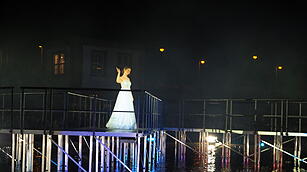 Eine Lichtshow mit Wasser, Feuer, Nebel und Musik im Rosengarten, die historische Pers&ouml;nlichkeiten ehrt.