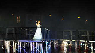 Eine Lichtshow mit Wasser, Feuer, Nebel und Musik im Rosengarten, die historische Persönlichkeiten ehrt. Eine Lichtshow mit Wasser, Feuer, Nebel und Musik im Rosengarten, die historische Persönlichkeiten ehrt.