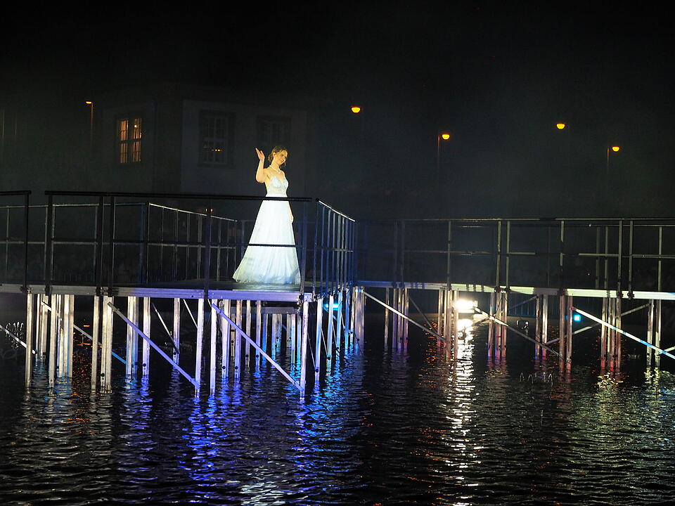 Eine Lichtshow mit Wasser, Feuer, Nebel und Musik im Rosengarten, die historische Pers&ouml;nlichkeiten ehrt.
