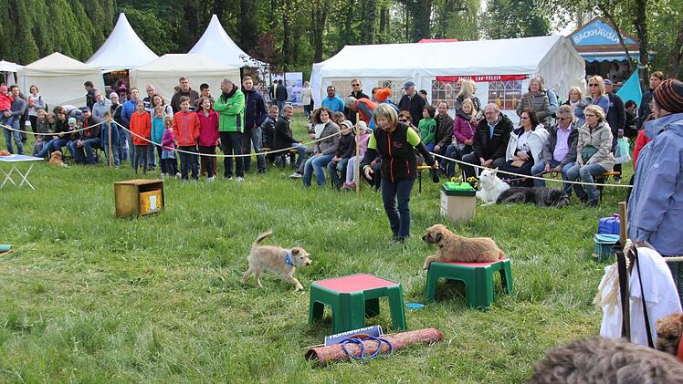 Die Filmhunde "Gustl" und "Leni" zeigten ihre Tricks.Foto: Ralf Kestel