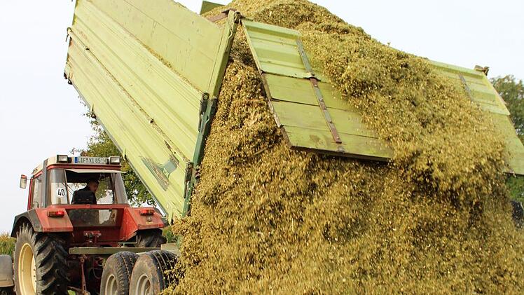 Impressionen von der Maisernte bei Ebensfeld. Foto: Markus Häggberg