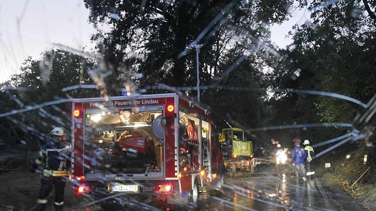 Zwischen Lindau und Leuchau landeten Äste eines Baumes auf einem Auto. Die Frontscheibe wurde zerstört. Foto: privat
