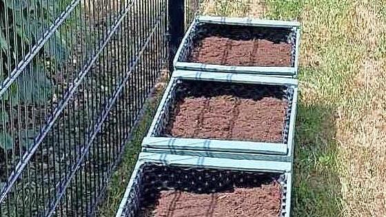 Es entstanden Hochbeete…