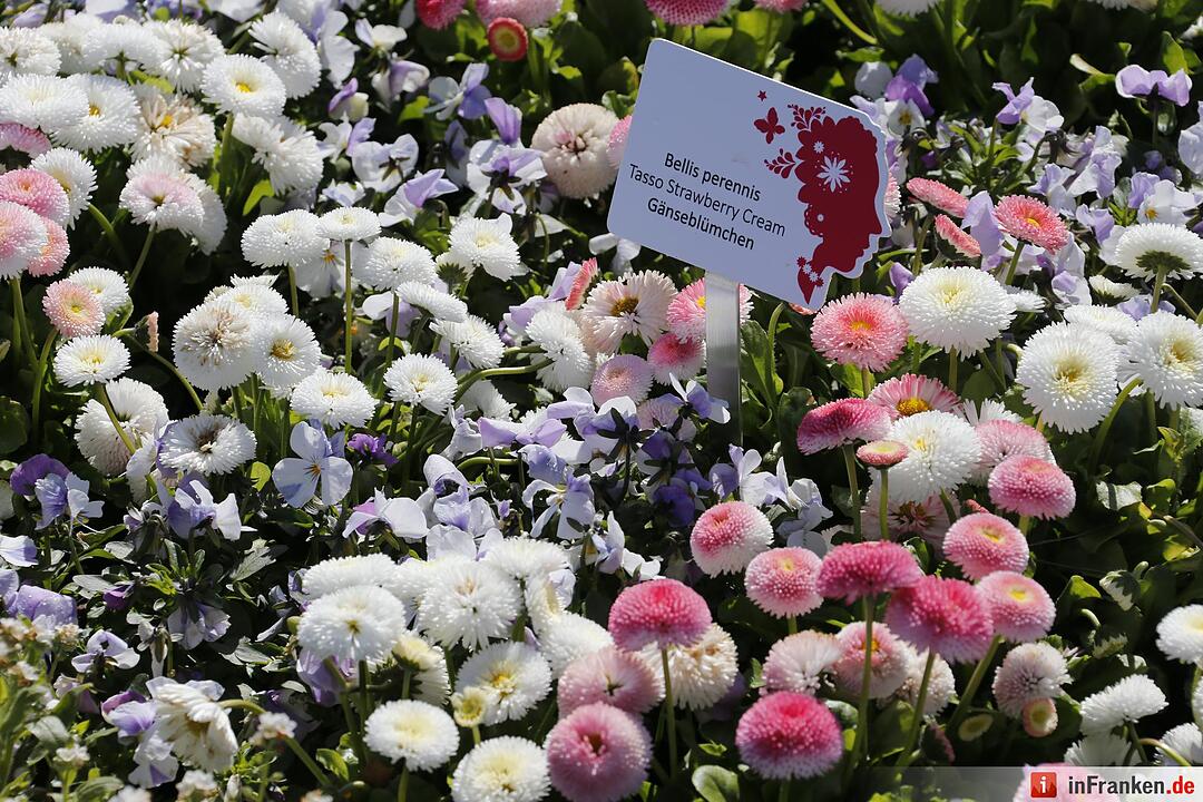 Blumen und mehr: Die Landegartenschau 2016 Bayreuth