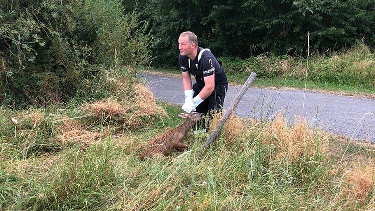 Michael Schneider befreite Reh und Fuchs.  Fotos: Christian Licha