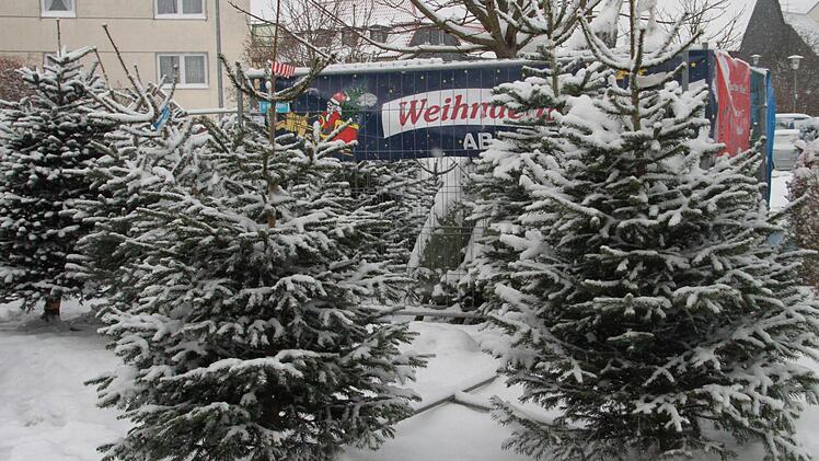 Malerisch mit Schnee gepudert sind die Weihnachtsbäume, die hier, in Bad Staffelstein, zum Kauf angeboten werden.