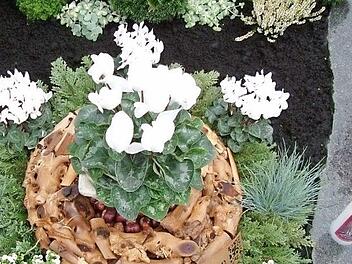 Es kann lange Zeit dauern, bis Hinterbliebene wieder neuen Lebensmut fassen.  Foto: Carmen Schhwind
