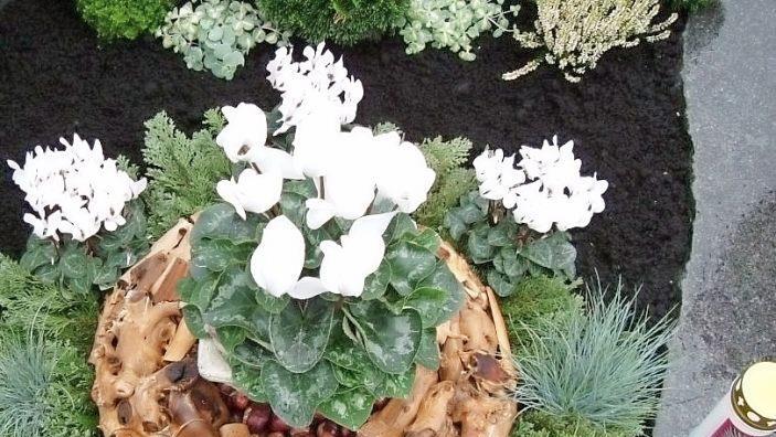 Es kann lange Zeit dauern, bis Hinterbliebene wieder neuen Lebensmut fassen.  Foto: Carmen Schhwind