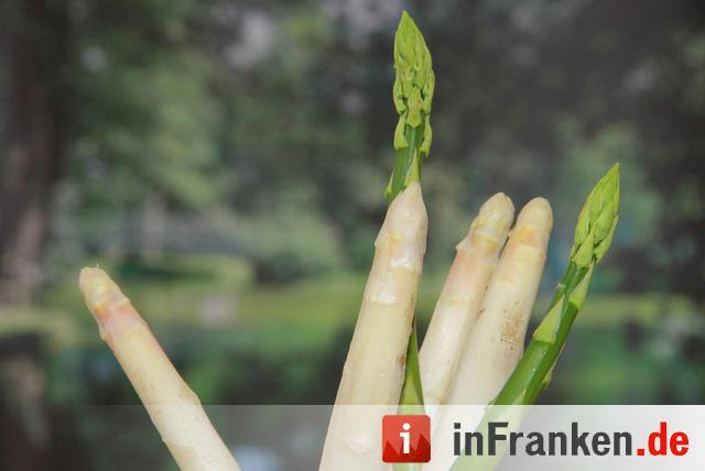 Landesgartenschau Bamberg