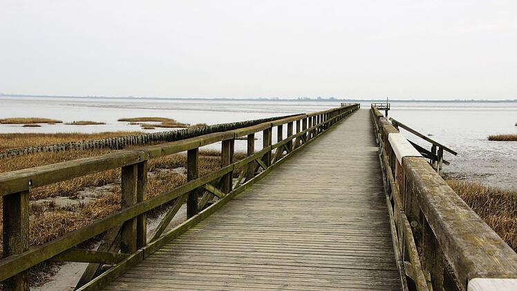 Hallig-Impressionen. Diana Fuchs