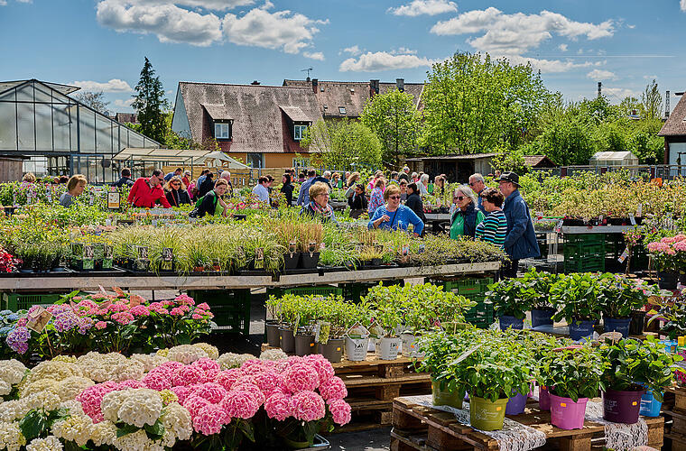 "Tag der offenen Gärtnereien" in Bamberg am Sonntag: Das erwartet dich