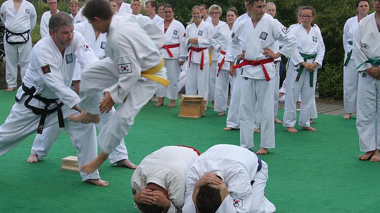 Über eine Menschenkette springen und dann Bretter durchschlagen - für Taekwon-Do-Kämpfer ist das keine Hexerei.