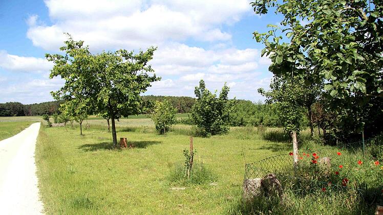 Die Streuobstwiese