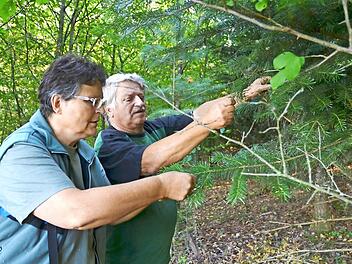 Anke Schäfer und Eberhard Anding begutachten eine Türkische Tanne in Andings Wald. Fotos: Rainer Lutz
