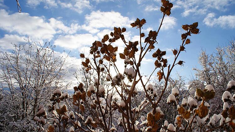 eingesandt von Stefan Lehner.