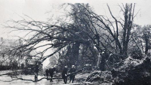 Am Grüntal wurden selbst die mächtigsten Baumriesen entwurzelt. Hier half die Freiwillige Feuerwehr, wie auch anderswo, bei den Aufräumungsarbeiten. Repro/Foto: Dieter Seyfarth