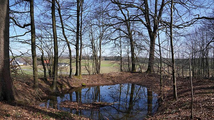 Der H&uuml;llweiher bei Gelbsreuth.